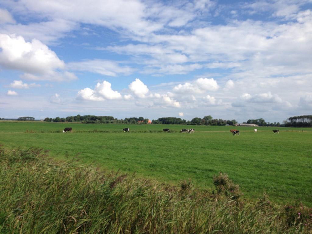 Lutje Hoeske Tinallinge Bagian luar foto