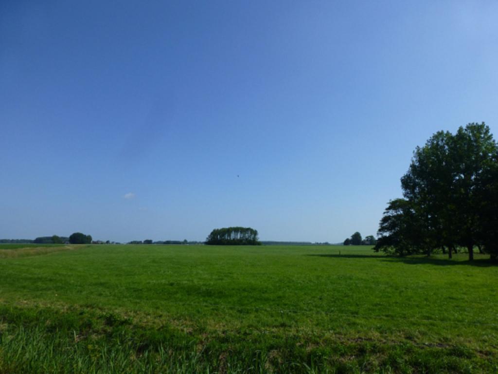 Lutje Hoeske Tinallinge Bagian luar foto